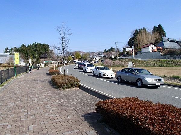 三春滝桜の渋滞